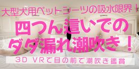 FC2-PPV-4475881 VR【180VR3D】***oypszjq*j 敏感潮吹きっ*りん（21）　四つん這いでのダダ漏れ潮吹き　ミニ電マ＆電マ＆吸うヤツ