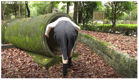 FC2-PPV-4565581 キュロットスカートの**psojpnqnxs お尻フェチ動画　女性の股の割れ目