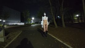 FC2-PPV-4668384 【女装露出】夜の公園とトイレでイチャイチャ【withフォロワーさん】