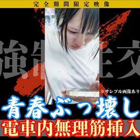 FC2-PPV-4749430 窃触窃挿フル50分超/私服K】一生忘れない。夏休みに乗った電車での出来事