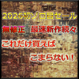 FC2-PPV-4829219 【ゾロ目セール】　前半　無.最強美女さかなちゃん人生初のハメ撮りに挑戦　大容.量パック　レビ.ュー特.典付き