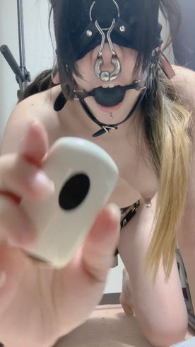 FC2-PPV-4863997 喘ぎ声多めの絶頂宣言！？口枷鼻フックでピストンバイブオナ♡