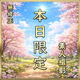 FC2-PPV-4866230 【先着割】【無】本日限定。素人撮影。至極の美女　〜桜〜