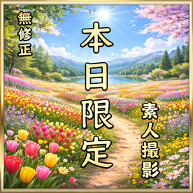 FC2-PPV-4866233 【先着割】【無】本日限定。素人撮影。至極の美女　〜雪解〜